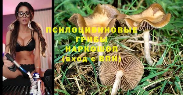 мет Новозыбков