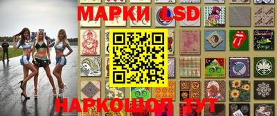 прущие грибы Чебоксары