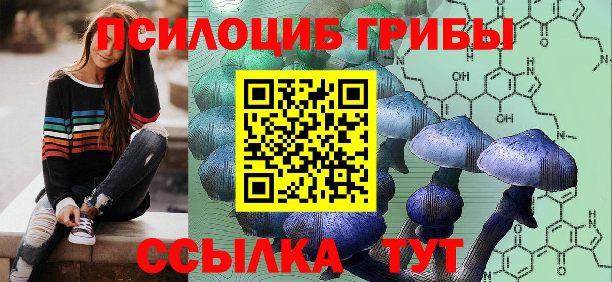 Галлюциногенные грибы мухоморы  Псилоцибиновые грибы GOLDEN TEACHER  Сертолово  Вход с VPN 